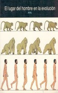 El lugar del hombre en la evolución