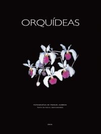 Orquídeas Orquídeas