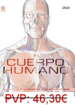 El cuerpo humano El cuerpo humano