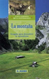 La montaña