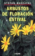 Arbustos de floración estival