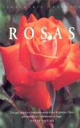 Rosas