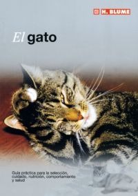 El gato El gato