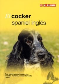 El cocker spaniel inglés