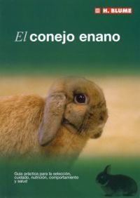 El conejo enano El conejo enano