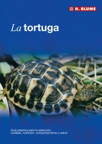 La tortuga La tortuga