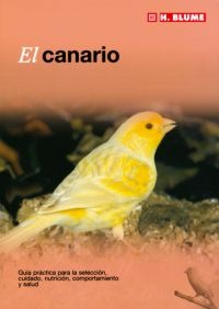 El canario El canario