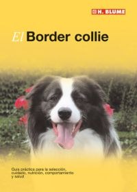El Border collie El Border collie