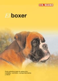 El boxer El boxer