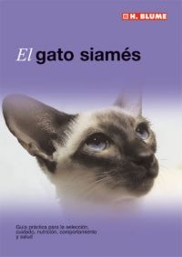 El gato siamés El gato siamés