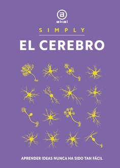 El cerebro